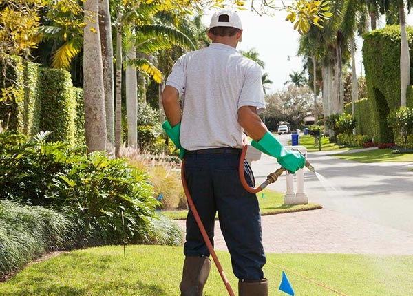 About Calera OK Pest Control